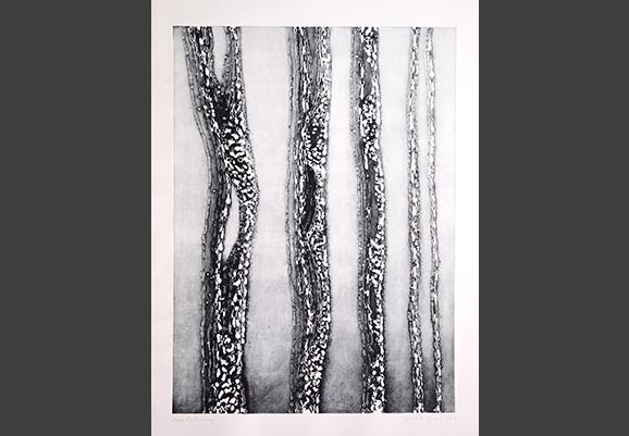 gernot_rad_000medium